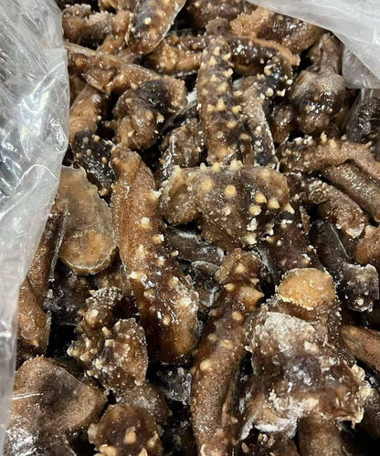 加拿大 帶刺海參 (2磅)