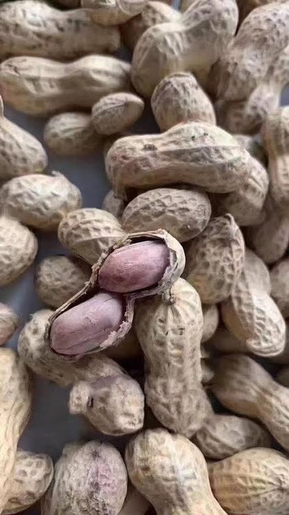 陳皮花生