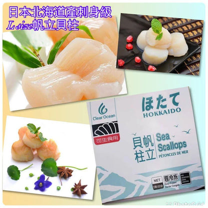 Made in Hokkaido, Japan🇯🇵shin level 2S size sail shell column