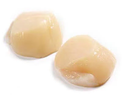 Made in Hokkaido, Japan🇯🇵shin level 2S size sail shell column