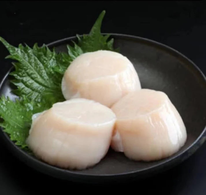 Made in Hokkaido, Japan🇯🇵shin level 2S size sail shell column