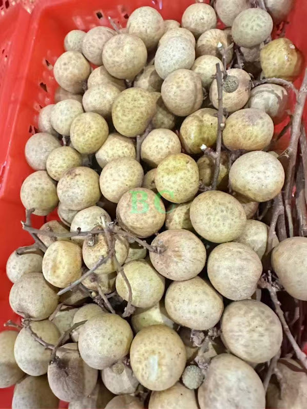 Vietnamese 🇻🇳 Longan (red basket)