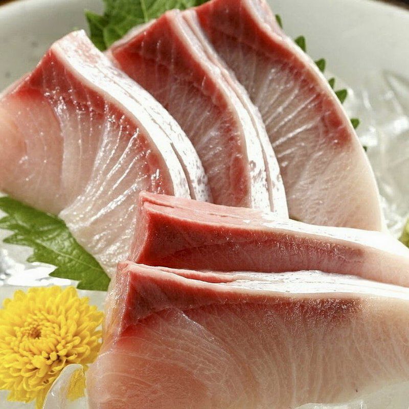 日本 Premium Hamachi Loin 特級油金魚背肉