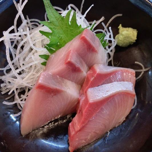 日本 Hamachi 油金魚背肉刺身