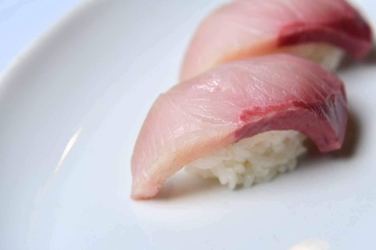 日本 Premium Hamachi Loin 特級油金魚背肉