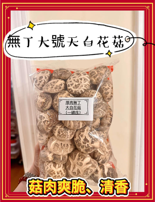 AA1 Wudingtian White Flower Mushroom