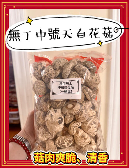 無丁天白花菇