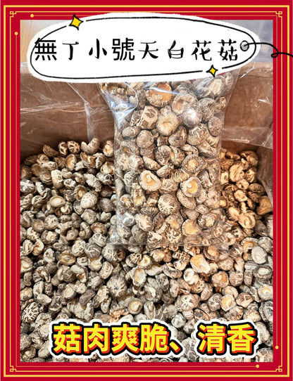 無丁天白花菇